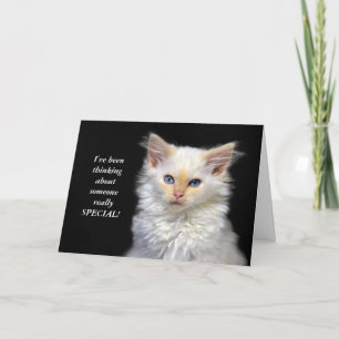 Siamese Kitten Birthday Humor Card