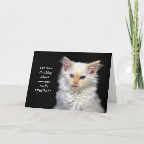 Siamese Kitten Birthday Humor Card
