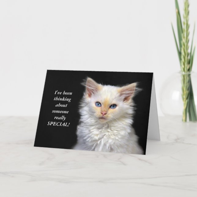 Siamese Kitten Birthday Humor Card (Front)