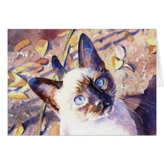 Siamese Kitten Cards
