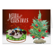Siamese Kitten Christmas Card (Front Horizontal)