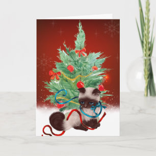 Siamese Kitten Christmas Card