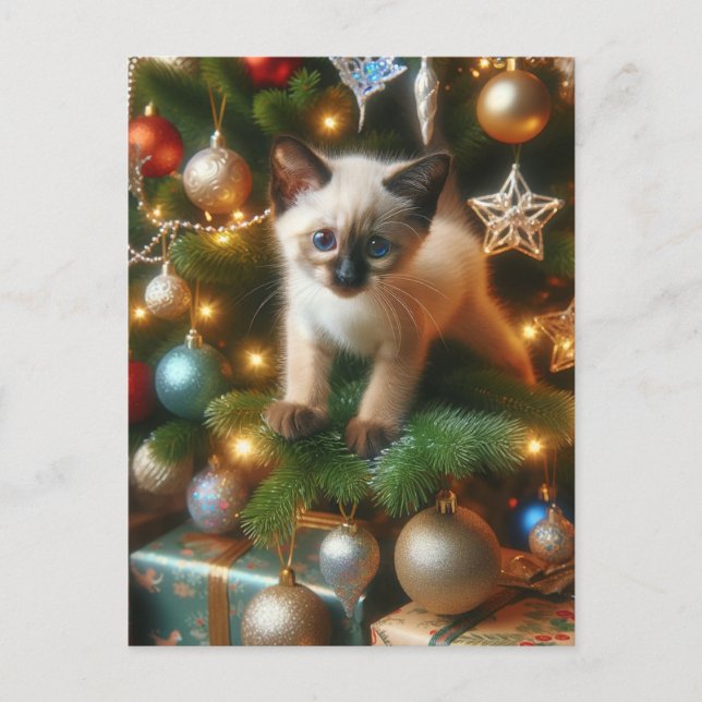 Siamese Kitten Christmas Postcard (Front)
