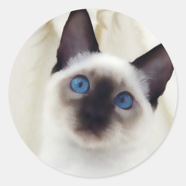 Siamese Kitten Classic Round Sticker (Front)