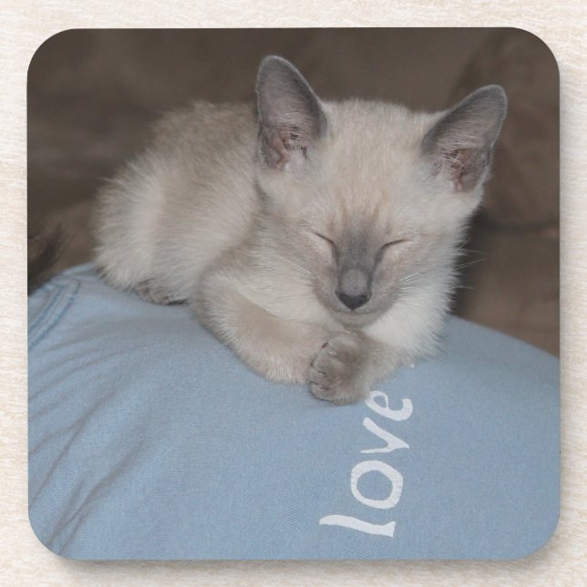 Siamese kitten  coaster (Front)