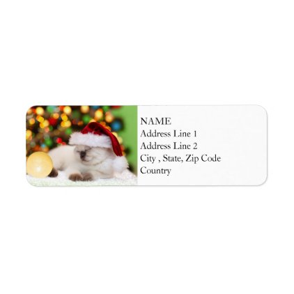 Siamese Kitten: Gold Ornament Label