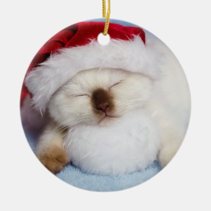 Siamese Kitten: Holiday Napping Ceramic Ornament