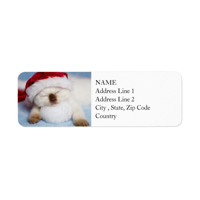 Siamese Kitten: Holiday Napping Label (Front)