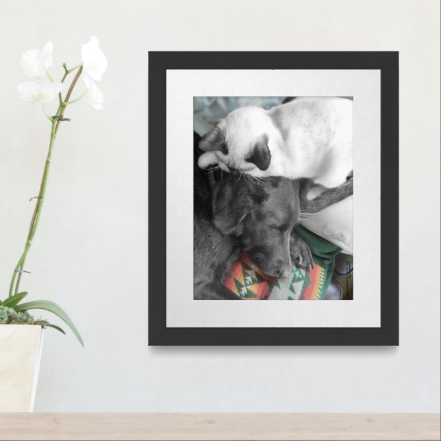 Siamese Kitten Lovingly Lies On Labrador's Head Framed Art (Entryway)