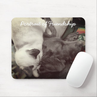 Siamese Kitten Lovingly Lies On Labrador's Head Mouse Pad