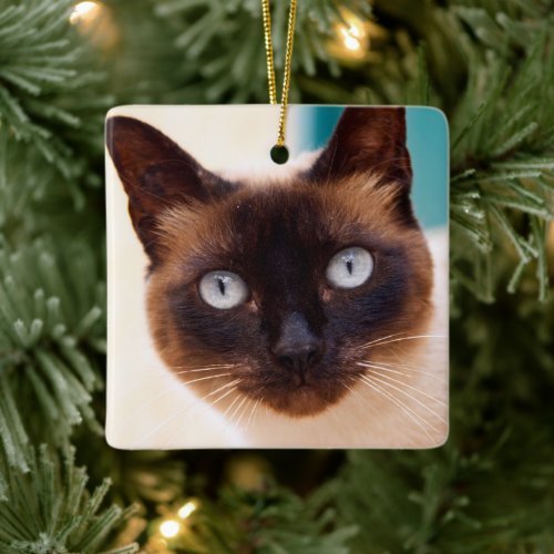 Siamese Kitten Portrait Ceramic Ornament