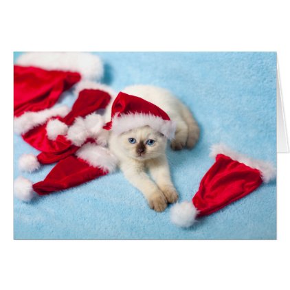 Siamese Kitten: Santa Hats Card