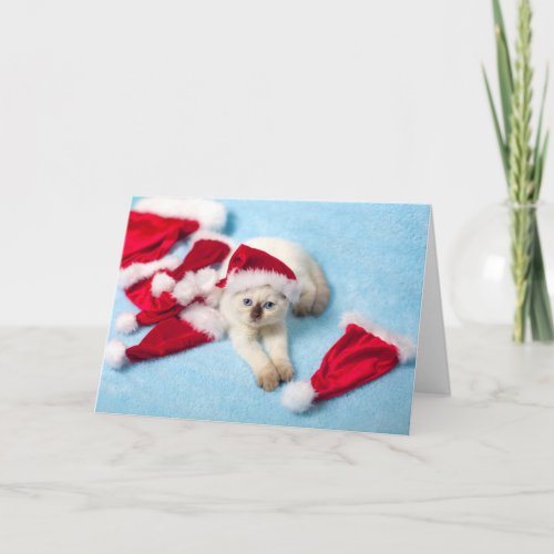 Siamese Kitten Santa Hats Holiday Card