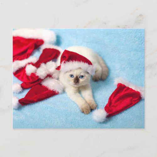 Siamese Kitten Santa Hats Holiday Postcard