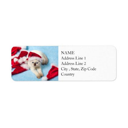 Siamese Kitten: Santa Hats Label