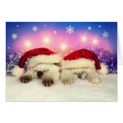 Siamese Kitten: Santa Twinsies Card