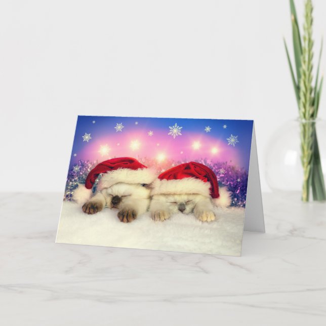 Siamese Kitten: Santa Twinsies Holiday Card (Front)
