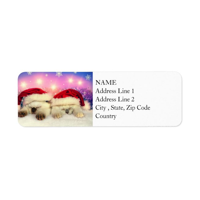 Siamese Kitten: Santa Twinsies Label (Front)