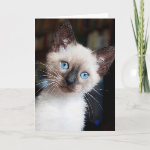 Siamese Kitten Says Hi Card