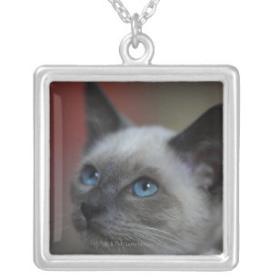 Siamese kitten silver plated necklace