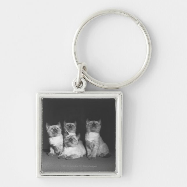 Siamese kittens looking up B&W Keychain (Front)
