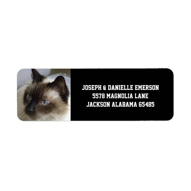 Siamese Kitty Address Labels (Front)