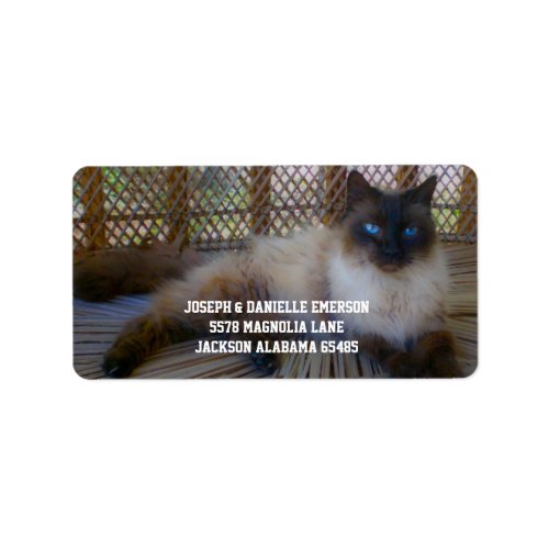 Siamese Kitty Address Labels