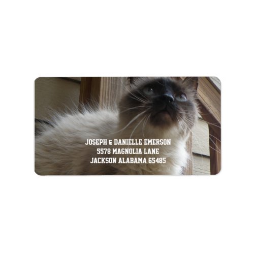 Siamese Kitty Address Labels