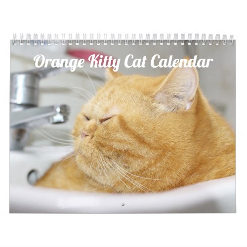 Siamese Kitty Cat Cute  2021 Calendar