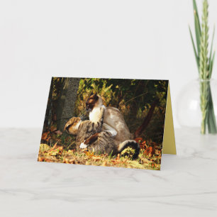 Siamese Kitty Cat Cute Customizable Card