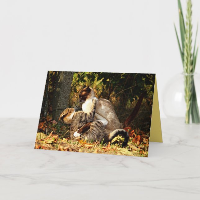 Siamese Kitty Cat Cute Customizable Card (Front)