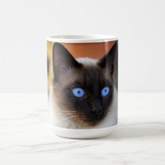 Siamese kitty cat with lovely big blue eyes color morph mug