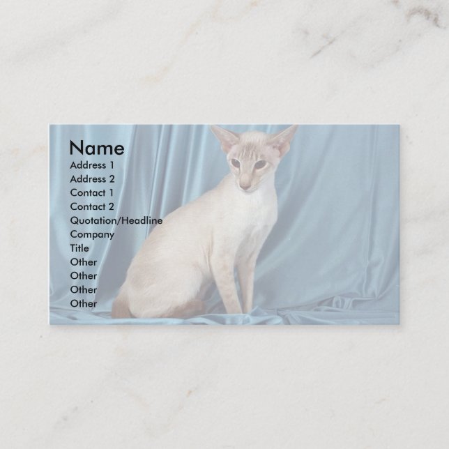 Siamese, lilac point business card (Front)