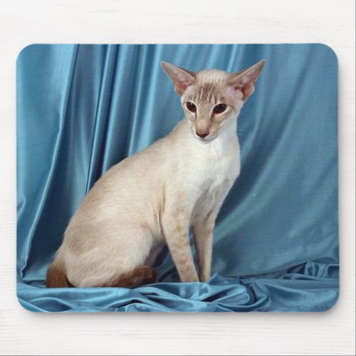 Siamese lilac point mouse pad