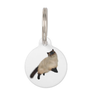 Siamese Long Hair Cat Pet ID Tag