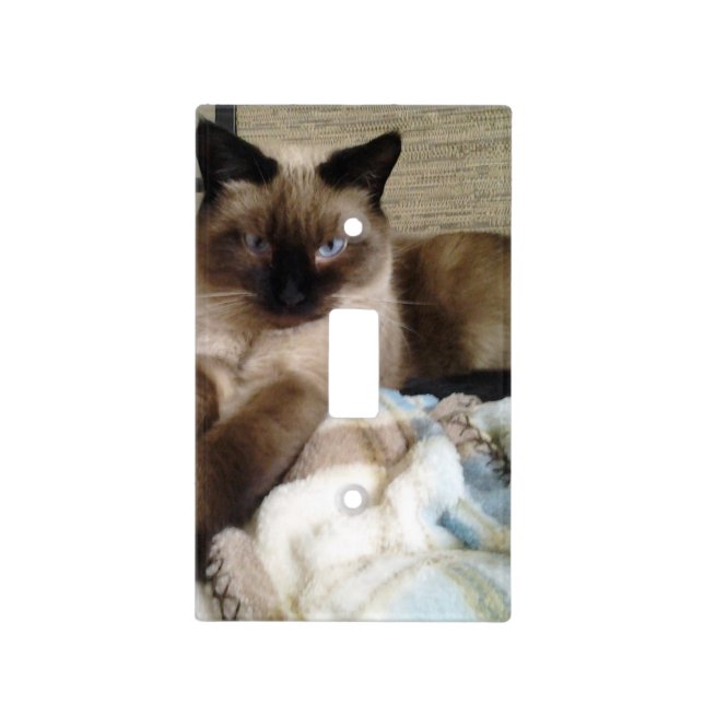 Siamese Mix Cat Light Switch Cover (Front)