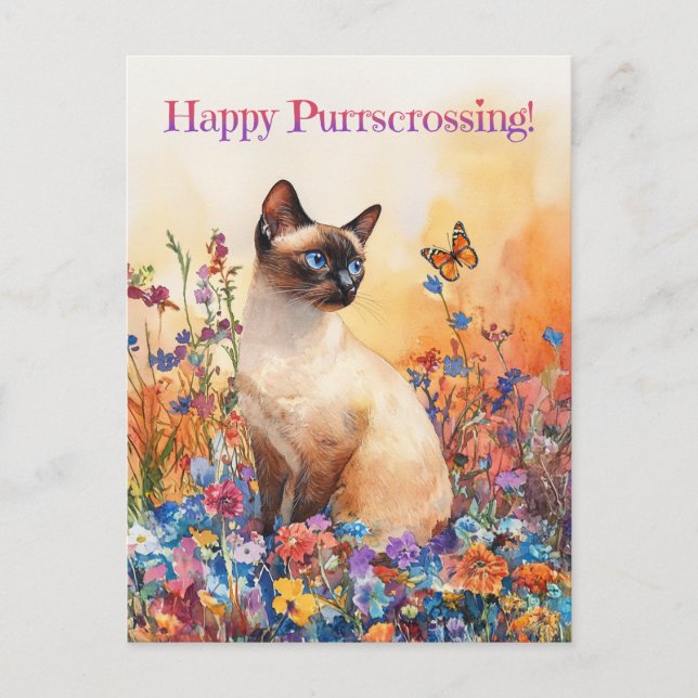 Siamese Postcrossing 1 - Postcard (Front)