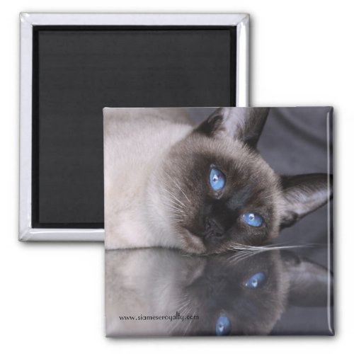 Siamese Royalty 2 Inch Square Magnet