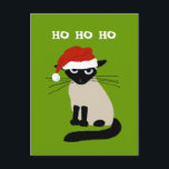 Siamese Santa Clause - Funny Kitty Cat Christmas Holiday Postcard<br><div class="desc">Ho Ho Ho. Funny Siamese cat wearing a Santa Clause hat. This annoyed kitty says Bah Humbug to wearing a ridiculous hat. A fun cat lover’s holiday postcard, purrfect for both personal and business holiday mailings. Great for pet sitters, veterinarians, cat rescuers and all animal lovers for sending to friends...</div>