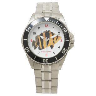 Siamese Tiger Fishの腕時計 2 Watch