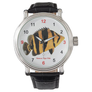 Siamese Tiger Fishの腕時計 3 Watch