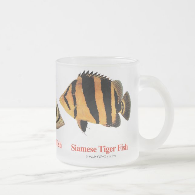 Siamese Tiger fish Frosted Glass Coffee Mug (Right)