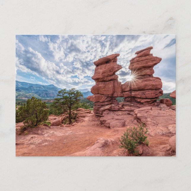 Siamese Twins Colorado Sunburst Postcard (Front)