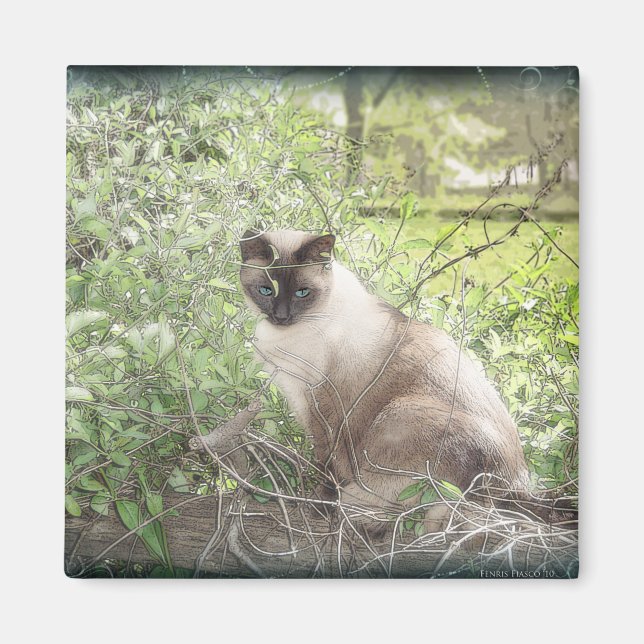 Siamese & Vines Magnet (Front)
