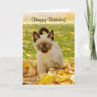 Siamese-X Kitten Birthday Card
