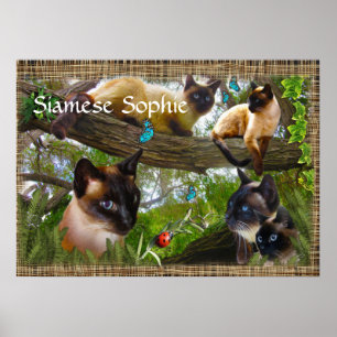 Siamese (your kitties name) poster
