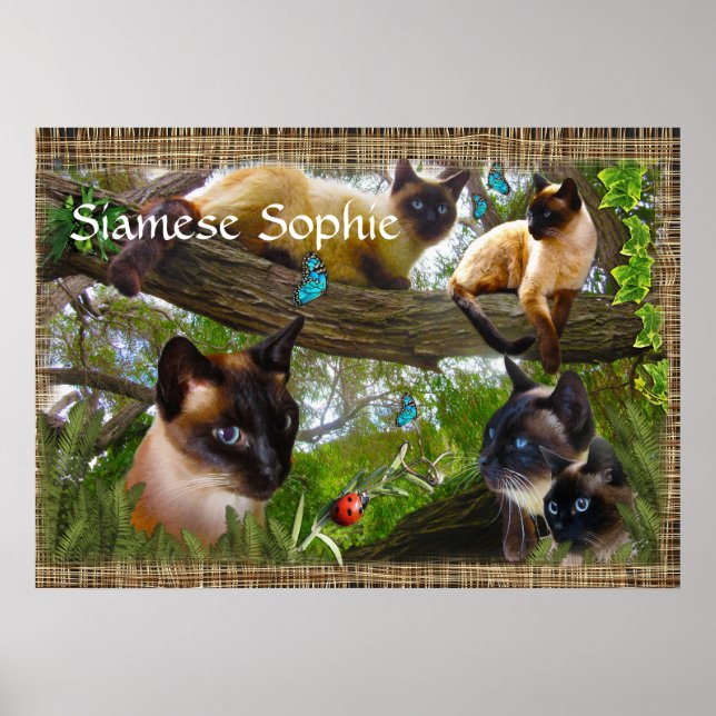 Siamese (your kitties name) poster (Front)