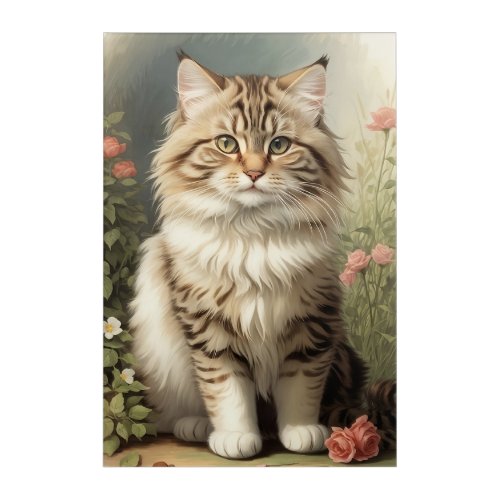 Siberian Cat Acrylic Print