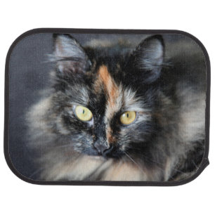 Siberian Cat Car Floor Mat