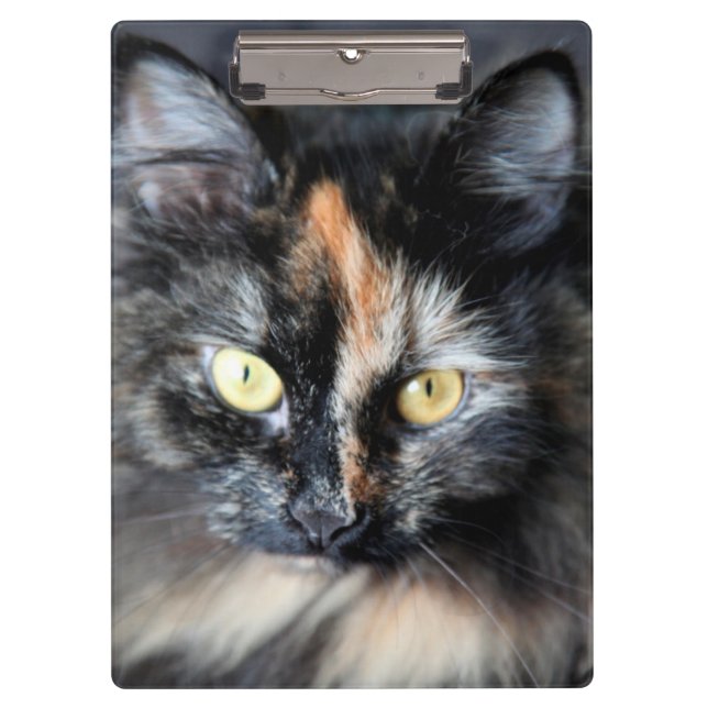 Siberian Cat Clipboard (Front)